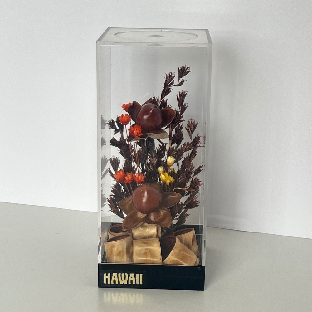 Vintage Hawaii Dried Baby Woodrose Volcano Uki Grass Acrylic Display Case 5.5"